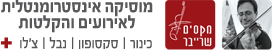 מקסים שרייבר - מוסיקה אינסטרומנטלית לאירועים והקלטות